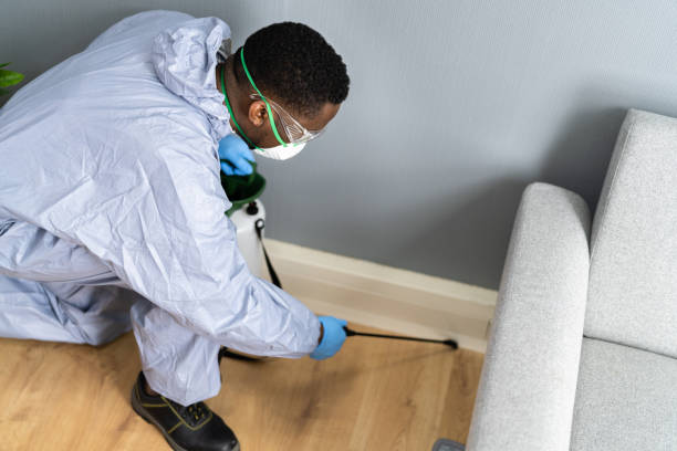 Best Real Estate Pest Inspections  in Exandria, AL